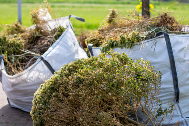 Best Hoarding Cleanup  in Plains, MT